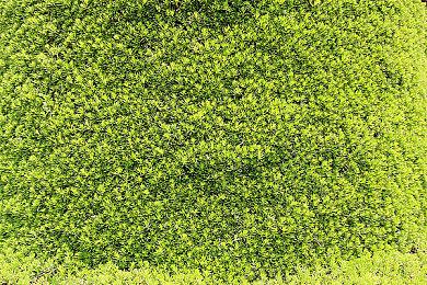 日本游戏文化节目《游戏基因组》第二季游戏阵容公布：《尼尔》等