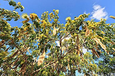 《失忆症：重生》和《活体脑细胞》现已支持简体中文