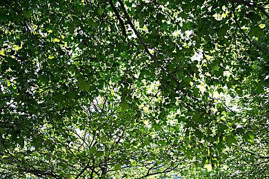 Nexon总裁：今年的目标制作世界玩家共同喜爱的游戏